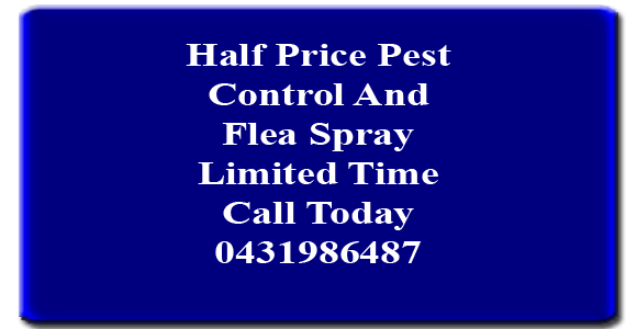 Half Price Pest Control And Flea Spray Limited  Time