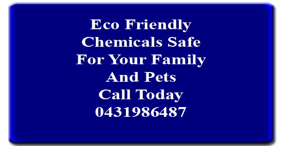 Eco Friendly Chemical Safe For Your Family And Pets