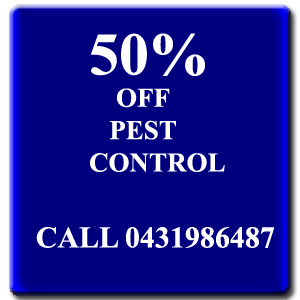 50% Off Pest Control