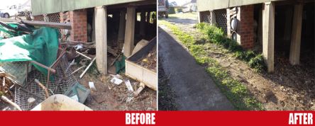 Junk Removal Services Before And After