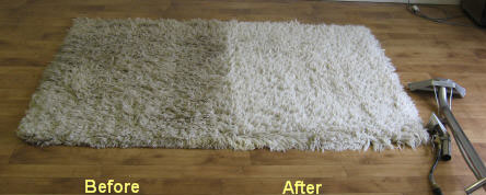 Rug Cleaning