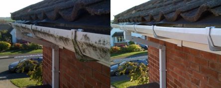 Gutter Cleaning