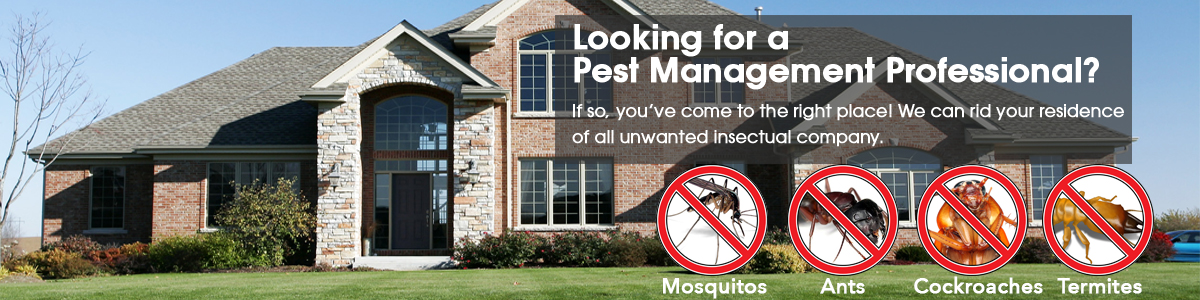 Pest Management Professional