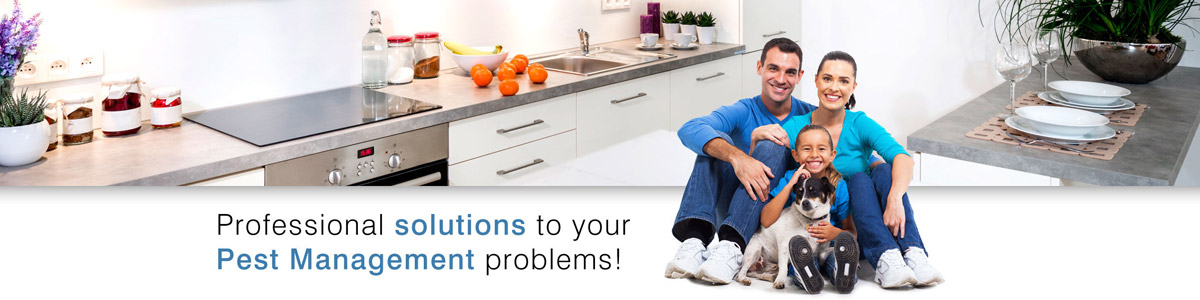 Professional Solutions To Your Pest Management Problems